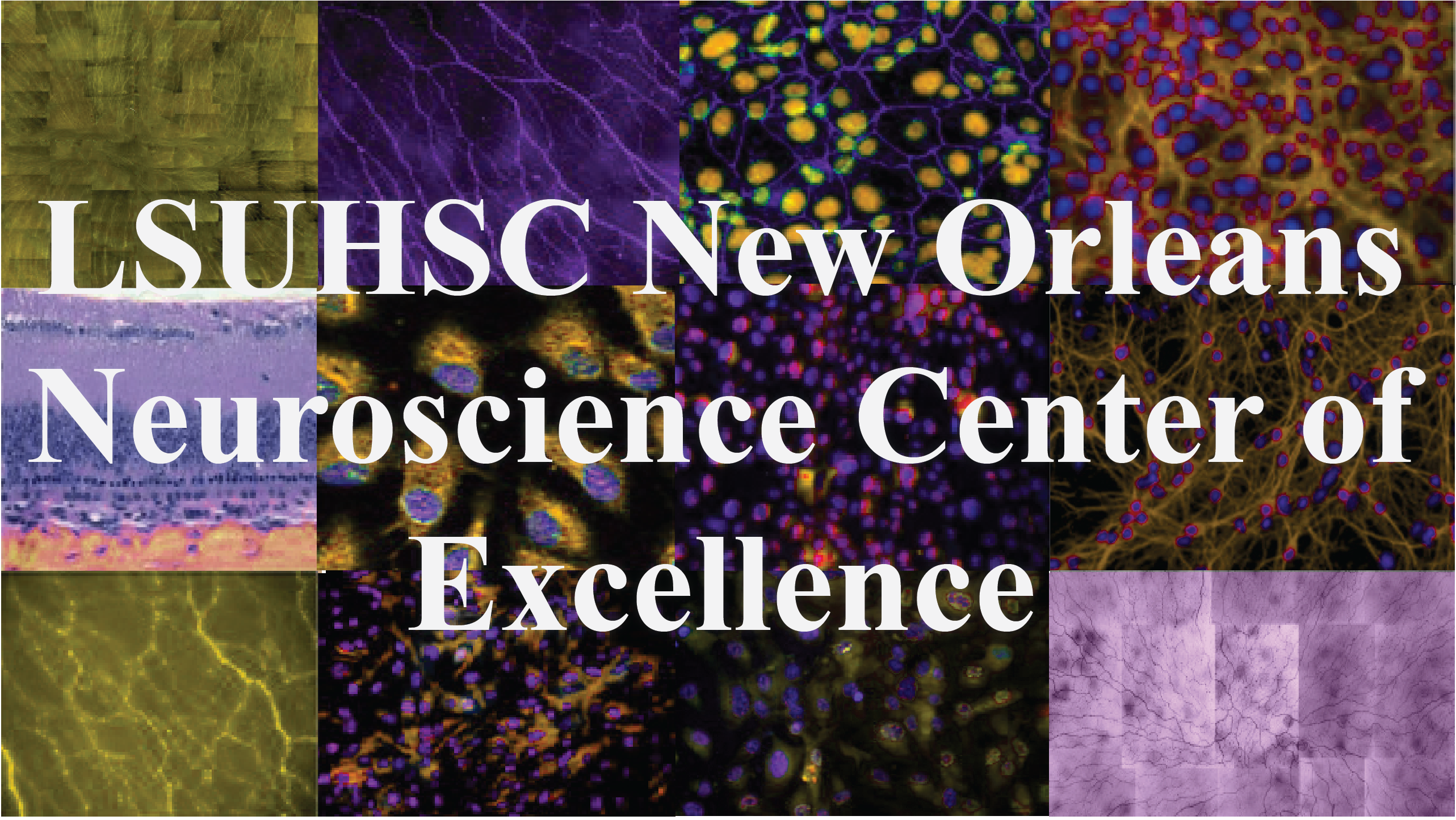 Neuroscience Center of Excellence